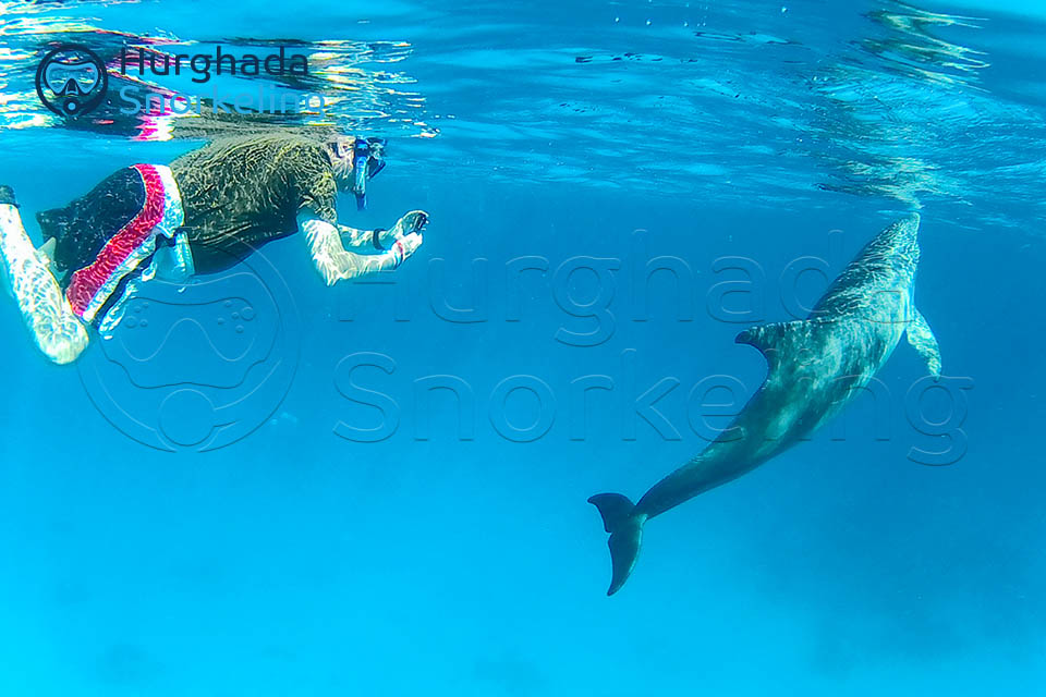 Utopia Island Snorkeling Trip from Hurghada | Full Day 2025