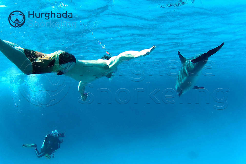 Utopia Island Snorkeling Trip from Hurghada | Full Day 2025