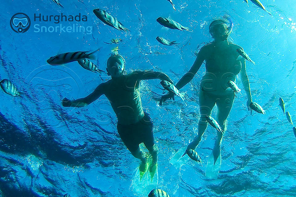 Utopia Island Snorkeling Trip from Hurghada | Full Day 2025