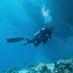Diving Packages