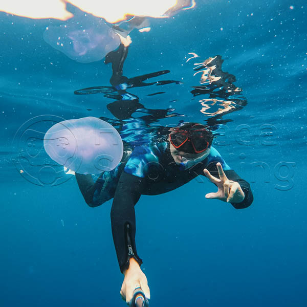 Hurghada Snorkelling Tours & Activities