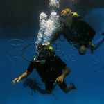 Scuba Diving Tour Sahl Hasheesh